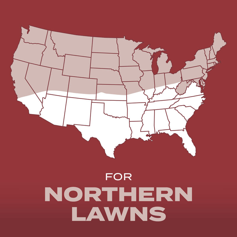 Scotts&reg; Turf Builder&reg; Grass Seed Sunny Mix image number null